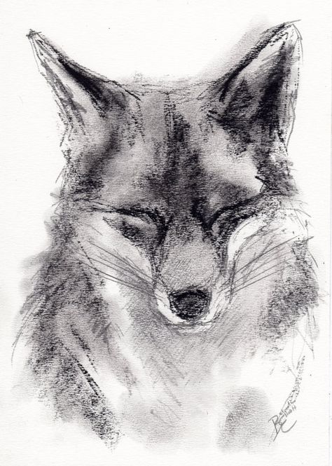 Carbon Drawings, Charcoal Art Easy, Simple Charcoal Drawing, Coal Drawing, Fox Drawing, Art Charcoal, Charcoal Sketch, Cool Pencil Drawings, White Drawing