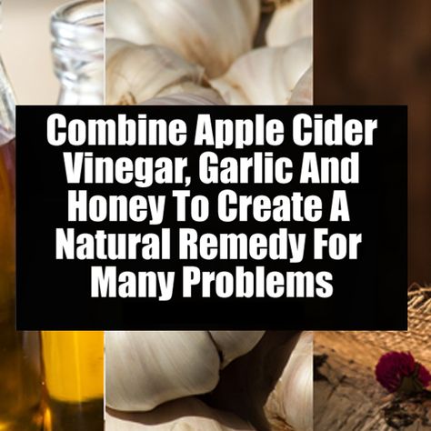 Combine Apple Cider Vinegar, Garlic And Honey To Create A Natural Remedy For Many Problems Apple Cider Vinegar And Honey, Honey And Garlic Remedy, Onion Garlic Honey Remedy, Garlic Apple Cider Vinegar And Honey, Why Is Apple Cider Vinegar Good For You, Braggs Apple Cider Vinegar Drink Recipes, Garlic Remedies, Vinegar And Honey, Organic Honey