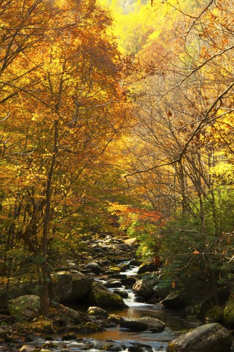 8 Prettiest Places in Tennessee for Fall Color Gatlinburg Tennessee Aesthetic, Josh Aesthetic, Fall In Tennessee, Fall Places, Fall Tennessee, Tennessee Fall, Tennessee Living, Lonely Man, Natchez Trace