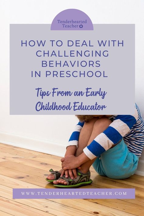 Preschool Behavior Management, Regulating Emotions, Defiant Behavior, Preschool Behavior, Positive Behavior Management, Parent Hacks, Early Childhood Educator, Behavior Management Strategies, Homeschool Preschool Curriculum