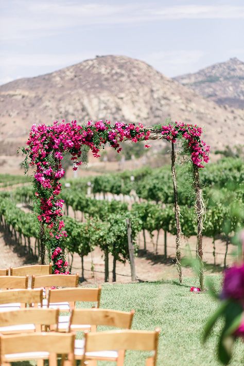 Hot Pink Wedding Colors, Vineyard Wedding Decor, Bougainvillea Wedding, Vineyard Wedding Inspiration, Magenta Wedding, Pink Wedding Colors, Fuchsia Wedding, Hot Pink Weddings, Wedding Ceremony Ideas