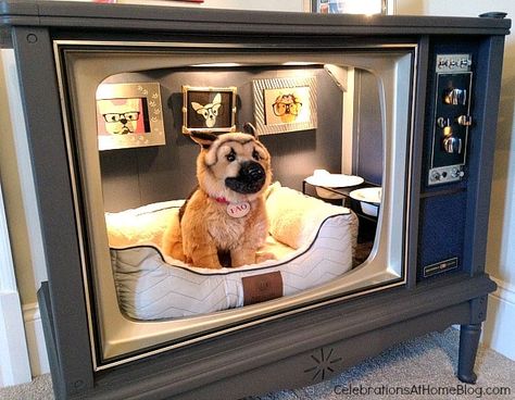 Unique Home Decor Ideas, Unique Dog Beds, Antique Bed Frame, Princess Dog Bed, Antique Furniture Makeover, Dog Closet, Antique Booth Ideas, Dog Spaces, Designer House