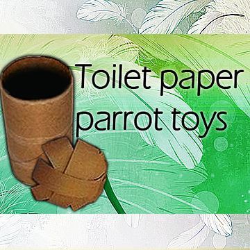 Paper Parrot, Conure Toys, Homemade Bird Toys, Cockatiel Care, Diy Parrot Toys, Cockatiel Toys, Budgie Toys, Parakeet Toys, Diy Bird Toys