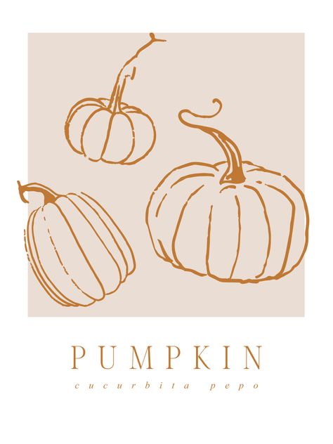 Pumpkin Graphic Design, Minimalism Art, Fall Graphic, Fall Fest, Parks N Rec, Graphic Tops, Minimal Art, Pumpkin Patch, Banners