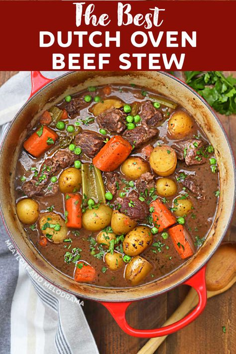 Dutch Oven Beef Stew Recipes, Beef Stew Recipe Oven, Recipe Dutch Oven, Classic Beef Stew Recipe, Best Beef Stew Recipe, Dutch Oven Beef Stew, Oven Beef Stew, Dutch Oven Beef, Creuset Recipes