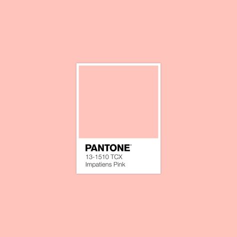 2,625 Pantone Colors. Endless possibilities. Explore FHI Cotton TCX in 1 click for FREE! · PANTONE 13-1510 TCX Impatiens Pink Color · #Pantone #Color #ColorBook #Inspiration · @pantonecolor · Kid’s Pattern Pale Peach Color, Color Library, Pantone Swatches, Pantone Palette, Pantone Colour Palettes, Color Pantone, Peach Aesthetic, Rainbow Room, Fashion Textiles