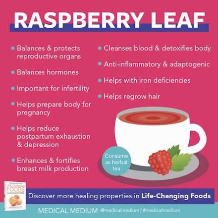 Medical Medium: Raspberry Leaf - Life-Changing Herb Rasberry Leaf Tea, Raspberry Leaf Tea Benefits, Medium Recipe, Pregnancy Help, Raspberry Leaf Tea, Help Hair Grow, Raspberry Leaf, Raspberry Tea, Anthony William