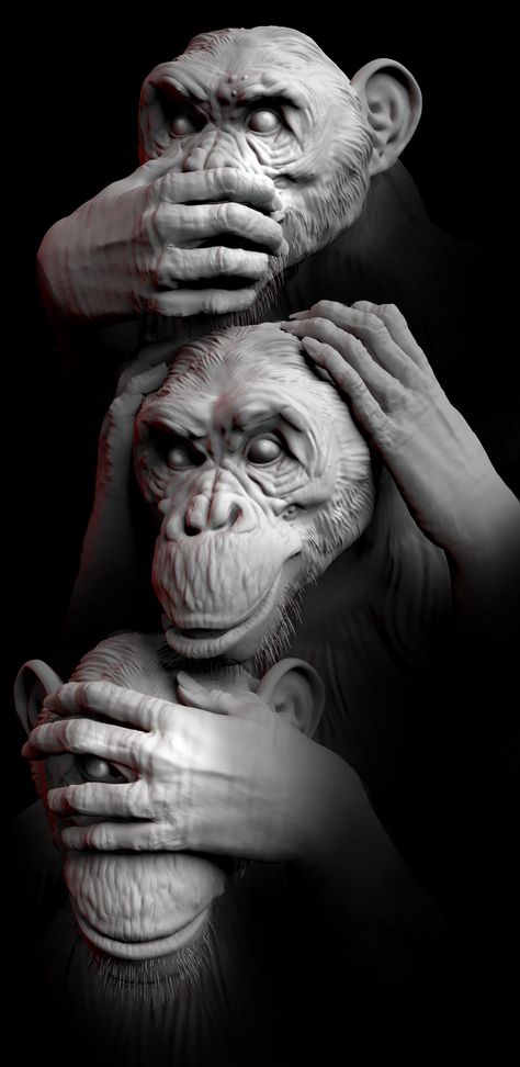 Monkey Photography, Monkey World, Monkey Statue, Spring Nails 2023, Boxing Images, Monkey Tattoos, Three Wise Monkeys, Monkey Wallpaper, Statue Tattoo