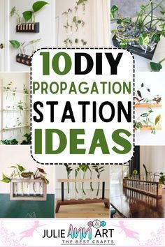 Planting Station Diy, Plant Wall Propagation, Propogation Wall Ideas, Easy Plant Propagation, Wooden Propagation Station, Propergation Station Diy, Window Propagation Station, Diy Hanging Propagation Station, Propagation Station Ideas