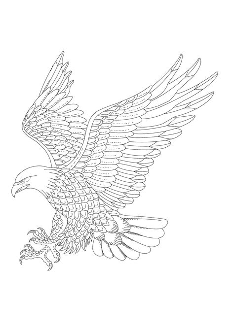 Eagle Tattoo Stencil, Eagle Line Art, Eagle Outline, Maori Tattoo Arm, Small Black Tattoos, Tattoo Machine Art, Half Sleeve Tattoo Stencils, Abstract Tattoo Ideas, Bird Tattoo Wrist