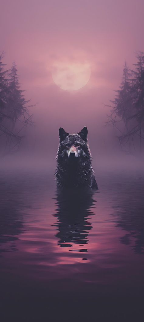 Wolf Background Wallpapers, Dark Wolf Aesthetic, Wolf Wallpaper Aesthetic, Wallpaper Lobo, Wolf Aesthetic Wallpaper, Iphone Wallpaper Wolf, Wolves Aesthetic, Wolves Wallpaper, Pet Wolf