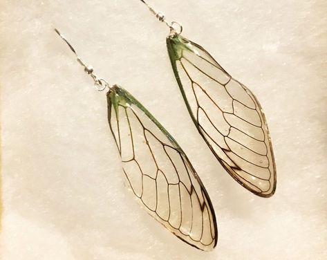 Preserved cicada wing earrings. Love getting to see all the wing details!  Handmade nature-inspired jewelry by OcelliCreations on Etsy Cicada Wing Earrings, Remus Outfit, Insect Aesthetic, Cicada Jewelry, Druid Witch, Cicada Wings, Handmade Patches, Insect Wings, Jewelry Real