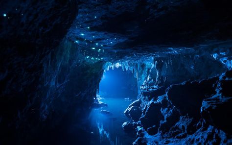 These caves in New Zealand are lit entirely by glow worms (PHOTOS) http://wrd.cm/1G4F5x3 Mroczny Elf, Waitomo Caves, Glow Worm Cave, Limestone Caves, Long Exposure Photos, Dark Cave, Underwater Caves, Cave System, Glow Worm