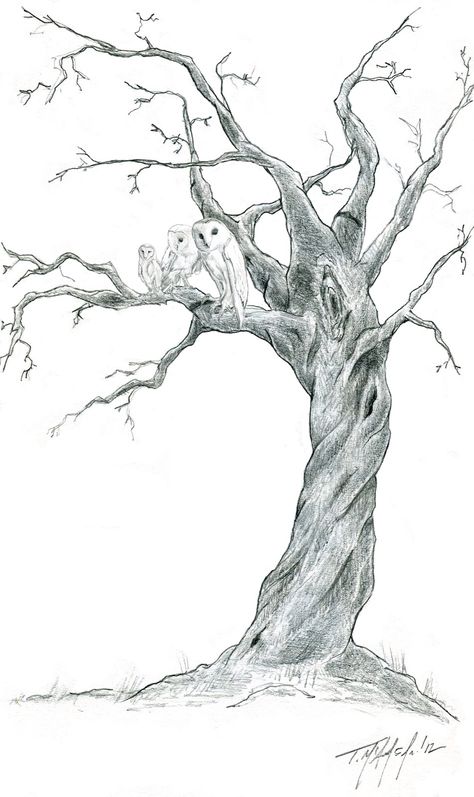 I want an old/dead tree with a heart carved in it with the initials "P + C" Dead Tree Drawing, Trees Art Drawing, Trees Drawing, Line Drawing Tattoos, Tree Drawings Pencil, Arte Peculiar, Dead Tree, Tree Sketches, Old Trees