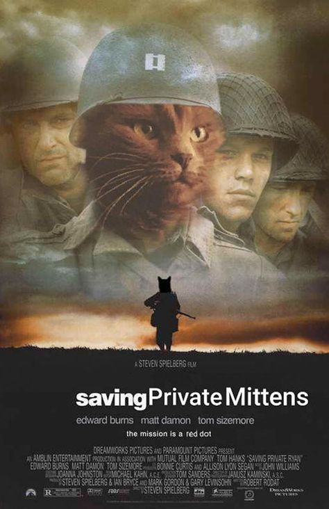 Animal Movie, Unusual Hobbies, Funniest Pictures, Cat Movie, Cat Crazy, Animal Humour, Cartoon Cats, Funny Photoshop, Farm Stuff