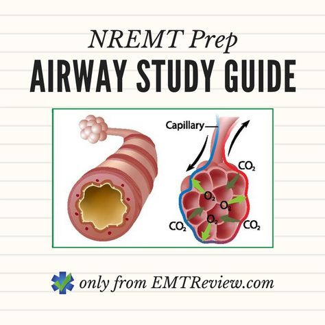 Nremt Study Guide Test Prep, Nremt Study Guide, Nrg Tea Herbalife, Nremt Study, Medic School, Future Paramedic, Nr Logo, Emt Student, Emt Gear