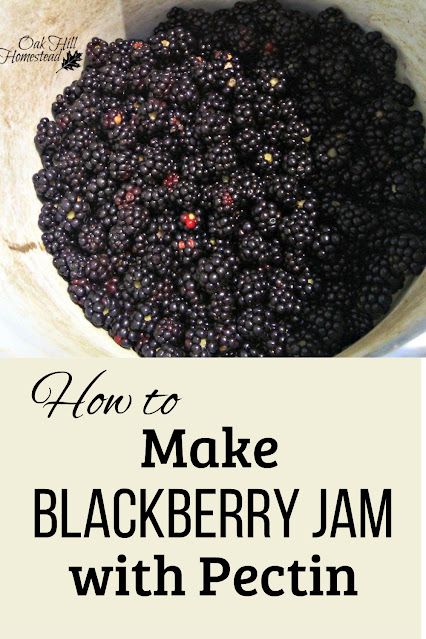 How to make blackberry jam with pectin Blackberry Jam With Pectin, Jam With Pectin, Blackberry Jelly Recipe, Blackberry Freezer Jam, Canning Blackberries, Forage Recipes, Make Vinegar, Seedless Blackberry Jam, Fruit Vinegar