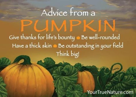 Weather Quotes, Facts You Didnt Know, Thanksgiving Card, Thick Skin, Thanksgiving Quotes, Autumn Quotes, Celebrate Life, Think Big, Advice Quotes