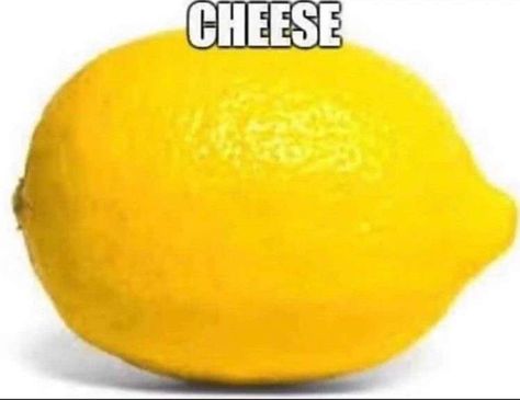 Cheese Meme, Fitness Funny, Fanart Drawing, Fun Girl, Best Drawings, Meme Funny, Drawing Artist, Funny Comedy, Oui Oui