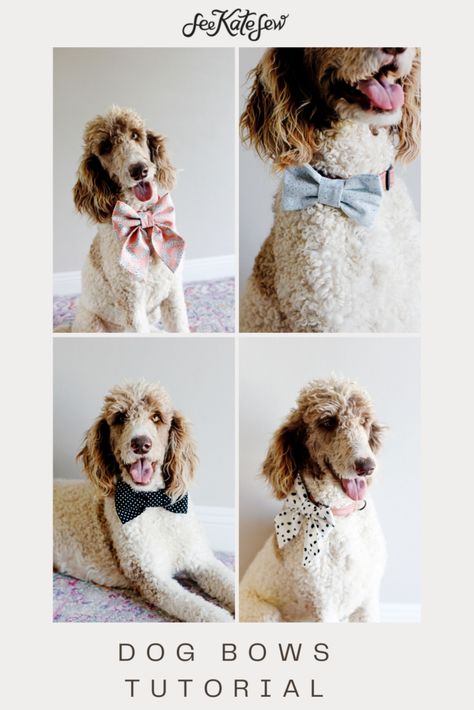 Sewing Patterns Dog Bandana, Dog Bow Tie Sewing Pattern, Sew Dog Bow Tie, Dog Bow Sewing Pattern, Sewing Pattern Dog Bandana, Patterns For Dog Clothes Free, Dog Bandana Template Free Pattern, Diy Dog Bow Tie Pattern, Dog Necktie Pattern