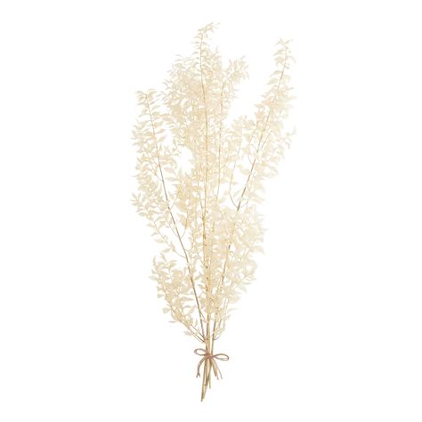 This dried ruscus plant bouquet is bleached to create a creamy earth-toned beauty, highlighting the ornamental texture of its distinctive leaves. An artfully preserved renewable resource, this chic bunch of stems elevates the appeal of any vase or wildflower bouquet with its dreamy natural look. Material: Natural Fiber, Color:White. Also could be used for dried leaves,sprays,natural decor,plant decor,dried plants,bouquet. By Cost Plus World Market.612829 Bleached Ruscus, Plants Bouquet, Plant Bouquet, Decorative Branches, Dried Plants, Plant Mama, Fresh Flower Bouquets, Natural Decor, Dry Plants