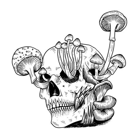 Mushrooms Sketch, Skull Mushrooms, Skull Mushroom, Vector Tattoo, Skull Sketch, Mushroom Tattoos, Mushroom Drawing, Sketch Tattoo, Dark Art Drawings