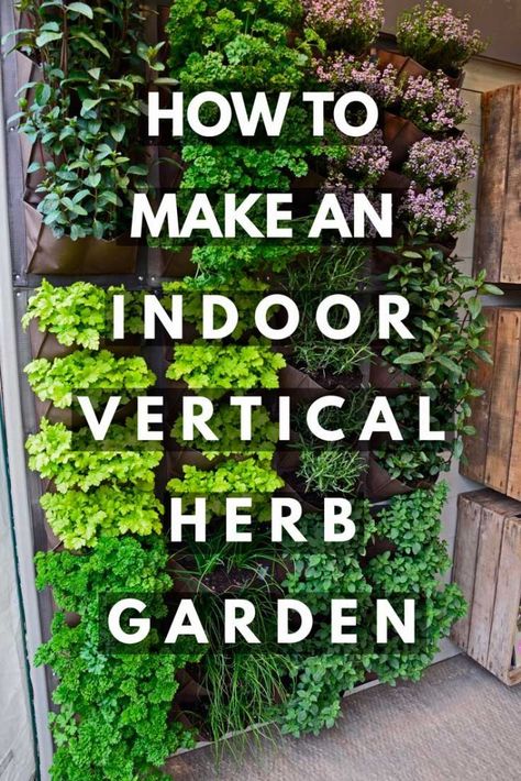 How to Make an Indoor Vertical Herb Garden Vertical Herb Gardens, Herb Garden Wall, Funny Vine, Outdoor Herb Garden, Herb Wall, Vertical Garden Indoor, Jardim Diy, Vertical Herb Garden, Vertical Garden Wall