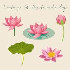 16,912 Water Lily Leaf Illustrations & Clip Art - iStock Lotus In Water Drawing, Nelumbo Nucifera Illustration, Lotus Flower Vector Illustrations, Water Lilly Illustration, Lotus Illustration Art, Water Flowers Drawing, Lotus Pond Illustration, How To Draw Lotus Flower, Lotus Illustration Design