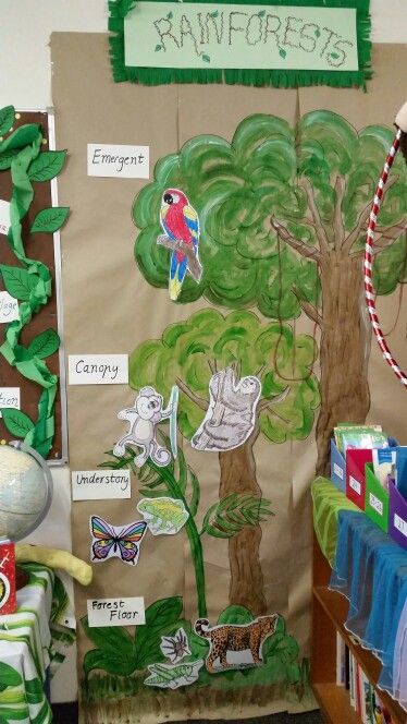 My class rainforest  mural. Shows the 4 layers and examples of animals found in each layer. 4 Layers Of The Rainforest, Layers Of Rainforest Craft, Layers Of The Forest Activity, Rainforest Display Board, Rainforest Layers Project, Biome Project Ideas Rainforest, Rainforest Layers Craft, Layers Of The Rainforest Activities, Rainforest Dramatic Play Preschool