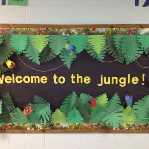 Found on Bing from www.pinterest.com Jungle Bulletin Boards, Jungle Theme Classroom Decorations, Rainforest Classroom, Preschool Jungle, Jungle Theme Classroom, Rainforest Theme, Camping Classroom, Jungle Decorations, Preschool Bulletin