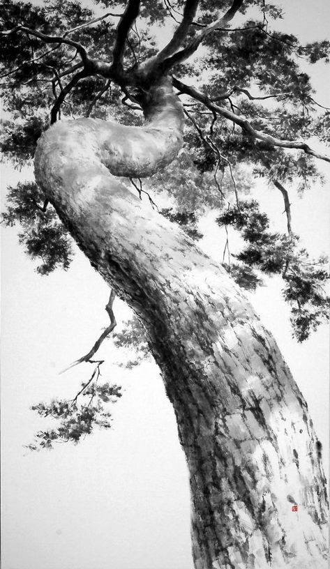 Shading Mastery: Pro Pencil Drawing Tips✅(Follow This Link)✅ Pencil Drawing Tips, Pencil Drawing Techniques, Windmill Photos, 숲 사진, Tree Drawings Pencil, Tree Sketches, Pencil Shading, Black And White Landscape, Charcoal Art