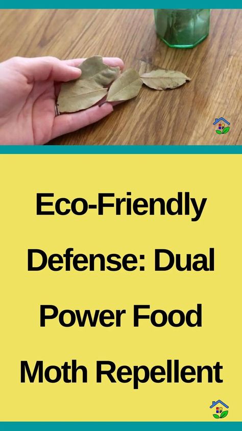 Introducing the ultimate solution to your food moth woes: a natural and potent dual-action repellent that provides double the power in keeping these pesky pests away. This innovative dual-action food moth repellent combines the power of natural ingredients to provide an effective defense against food moth infestations. It harnesses the potency of plant-based extracts known […] Moth Repellent, Power Foods, Natural Food, Repellent, Natural Ingredients, Moth, Defense, Plant Based, Create Yourself