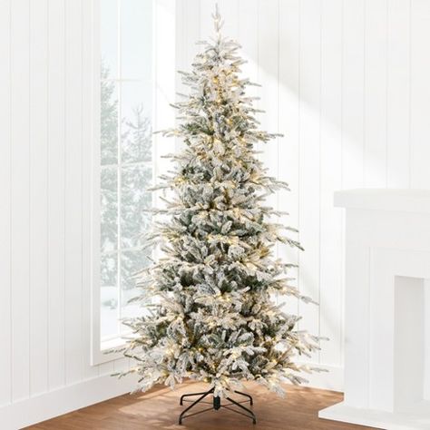 Aspen Christmas Tree, Aspen Christmas, Noble Fir Christmas Tree, 6ft Christmas Tree, Fir Christmas Tree, Flocked Christmas Trees, Christmas Tree Shop, Indoor Christmas, Tree Lighting