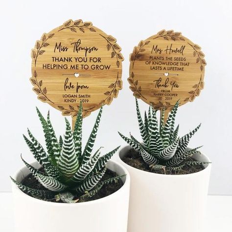 Best teacher gifts: Say thank you in the nicest way | Bounty Parents Box Regalo, Bamboo Flower, Appreciation Gifts Diy, Teacher Appreciation Gifts Diy, Staff Appreciation, Cadeau Diy, Pot Plant, Great Teacher Gifts, Plant Stem