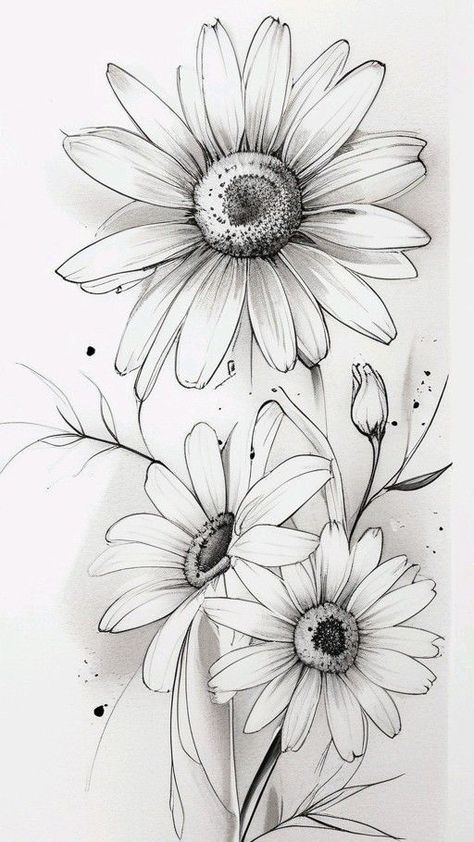 Drawing Daisy Flower, Drawings Of Daisies, Daisy Pencil Drawing, Drawing A Daisy, Daisy Art Drawing, Flower Line Drawing Pattern, Pencil Line Art Drawings, Tattoo Pencil Drawings, Pencil Art Drawings Flowers