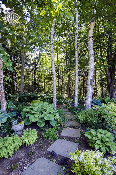 Wooded Backyard Landscape, Taman Diy, Shade Garden Design, Wooded Landscaping, Desain Lanskap, Sloped Garden, Forest Garden, Homestead Survival, The Secret Garden