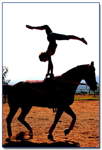 The moment When Sydney's private providers see the potential in her is the moment the relationship changes from a job and an appointment to a commitment through faith. Equestrian Vaulting, Handstand, Vaulting, The Horse, A Horse, Ny Times, Equestrian, The Back