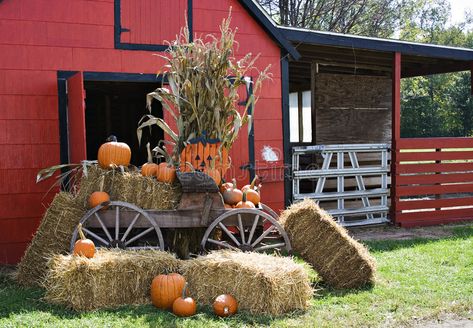 Halloween Scene. A red barn decorated for fall and halloween and thanksgiving , #ad, #red, #barn, #Halloween, #Scene, #halloween #ad Vintage Halloween Prints, Pumpkin Photography, Fall Yard Decor, Farm Wagons, Halloween Vinyl, Barn Parties, Fall Fest, Barn Decor, Hay Bales