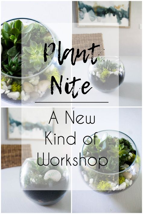 Gather your best girlfriends and head to a new kind of workshop: Plant Nite. Create, have decor for your home, and cheers to a night out. Plant Workshop Ideas, Workshops Ideas, Plant Workshop, Plant Store, Garden Works, Garden Workshops, Cray Cray, Small Business Plan, The Grove