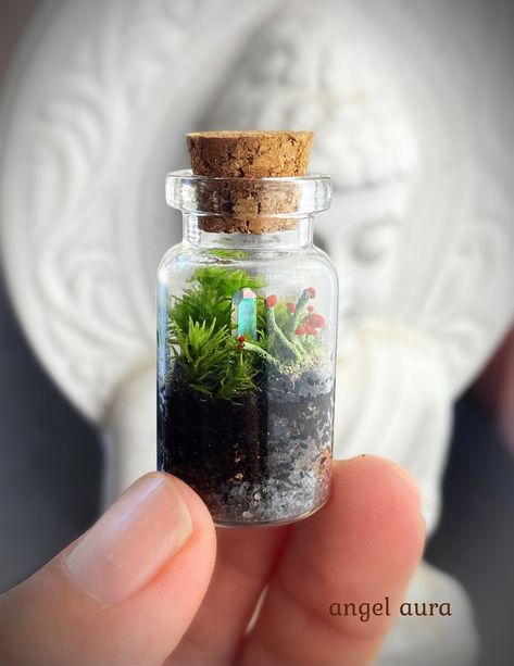 "☾ Micro live moss & lichen terrarium with a micro aura quartz I have wire staked each micro point so you can reposition if you like, using a tweezer. ☾ British soldier lichen, mood, plume moss and/ or cushion moss ☾ Hand made in my home studio in NJ ☾ Each~one~of~a~kind ☾ These micro terrarium are made to order and ready to ship in 2 days. These are extremely easy to take care of but as all plants do, they appreciate some love and attention from time to time. I will include detailed instruction Miniature Terrarium, Lichen Moss, Mini Terrarium, Aura Quartz Crystal, Crystal Garden, Garden Mini, Moss Garden, British Soldier, Rainbow Quartz