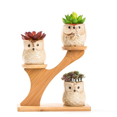 Office Plants Desk, Small Ceramic Planter, Desk Plants, Desk Bookshelf, Craft Space, Animal Planters, Handmade Pot, Owl Decor, Handmade Lighting