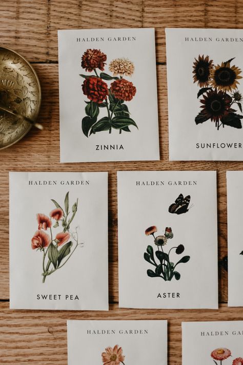 Curated Seed Collaboration with Halden Garden — Earth Star Herbals Breakfast Cucumber, Herbalist Garden, Wild Bergamot, Peony White, German Chamomile, Flower Seeds Packets, Pink Sunflowers, French Breakfast, Twenty Twenty