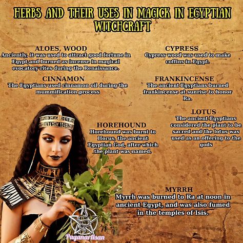 Lets talk about the world of Egyptian Magick Ever wondered about ancient egyptian deities #egyptian #religion #gods #isis #osirus #set #thoth #instagood #viral #viralreels Set Egyptian God, Thoth Egyptian God, Ra Symbol, Egyptian Deities, African Traditional Religions, Egyptian Magic, Ancient Egyptian Deities, Egyptian Deity, Ancient Egyptian Gods