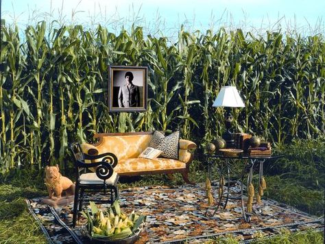 Outdoor Interview Setup, Outdoor Set Design, Music Video Set Design Ideas Outdoor, Music Video Set Design Ideas, Animal Masquerade, Door Ajar, Duncan Phyfe, Corn Field, Photo Arts