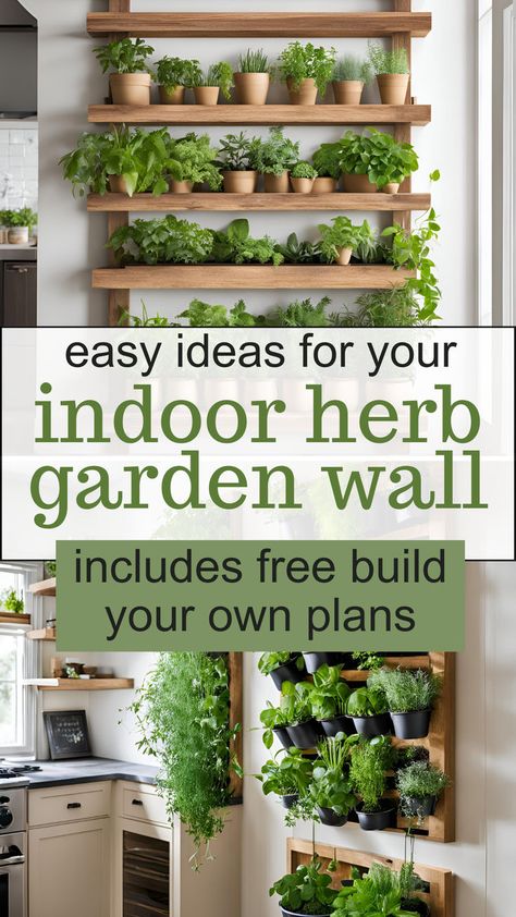 Easy Ideas for your indoor herb garden wall - includes free build your own plans. Images of wooden vertical herb wall planters. Wall Garden Ideas Indoor, Wall Herb Garden Indoor, Indoor Herb Garden Wall, Indoor Edible Garden, Indoor Container Garden, Build Your Own Garden, Indoor Herb Garden Diy, Lettuce Grow, Herb Garden Wall