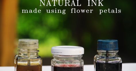 Hello! Today I'd like to share another experiment I carried out, making natural ink! I've read about natural dyeing in an old book about pr... Tinta Natural, Pagan Crafts, Witchy Crafts, Kitchen Witch, Sumi E, Nature Crafts, Back To Nature, Diy Natural Products, Land Art