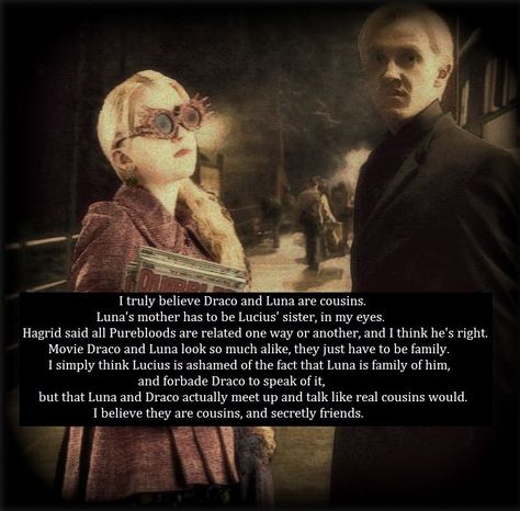 Draco & Luna Harry Potter Theories, Headcanon Harry Potter, Harry Potter Memes Hilarious, Fantastic Beast, Harry Potter Ships, Potter Facts, Harry Potter Headcannons, Harry Potter Fanfiction, Harry Potter Facts