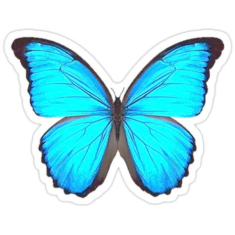 Butterfly Blue Printable, Blue Butterfly Cake Topper Printable, Blue Butterfly Stickers Printable, Blue Buterfluffy, Blue Morpho Butterfly Tattoo, Blue Butterfly Printable, Blue Butterfly Drawing, Blue Butterfly Sticker, Galaxy Chocolate