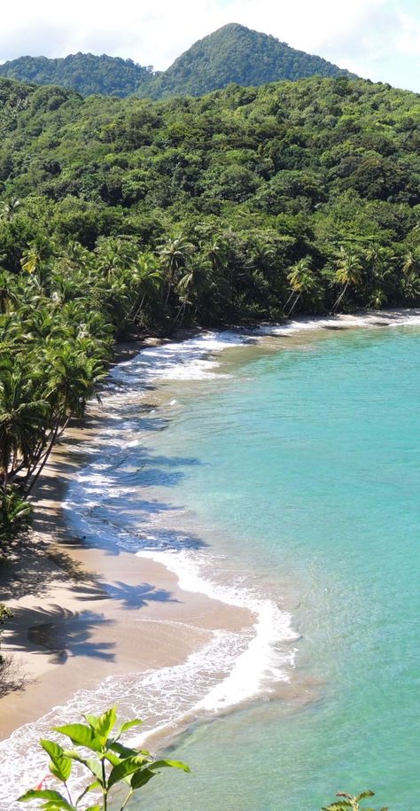 Roseau, Dominica | The “nature island of the Caribbean” brings major beach vibes with miles of pristine shoreline that feature underwater volcanic springs resulting in warm bubbling waters. Cruise with Royal Caribbean to Roseau, Dominica and take a dip in the “champagne” dive site created by geothermal vents for a truly unique beach experience. Dominica Island, Cruise Tips Royal Caribbean, Beach Hammock, Paradise On Earth, Beaches In The World, Barbados, Tropical Islands, Aruba, Caribbean Islands