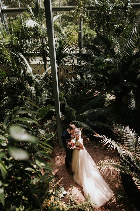 The Greenhouse At Driftwood, Greenhouse Wedding Photos, Botanical Garden Photo Shoot, Kew Gardens Wedding, Driftwood Wedding, Glass House Wedding, Funny Wedding Photos, Botanical Gardens Wedding, Greenhouse Wedding